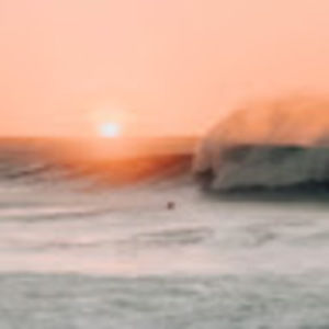 Meet your Posher, Annika